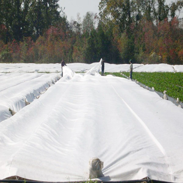 Ultra-width pp spun bonded non woven for agricultural covering