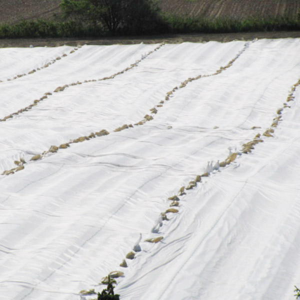 Jinchen custom agricultural cloth landscape for garden-1