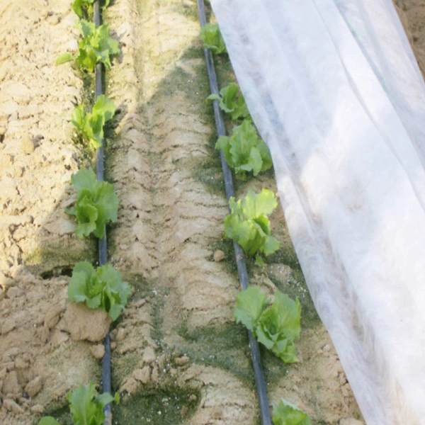 Anti-UV Agricultural PP Spunbond Nonwoven Mulch Film