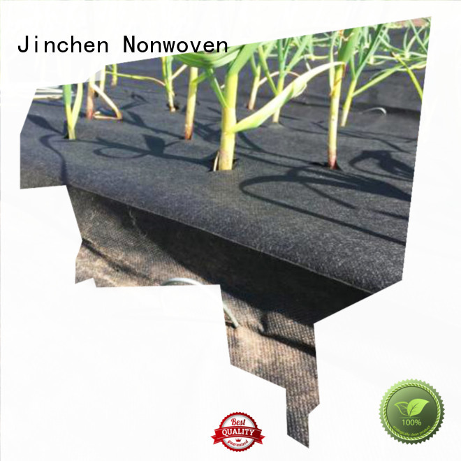 Jinchen agricultural fabric ground treated for tree