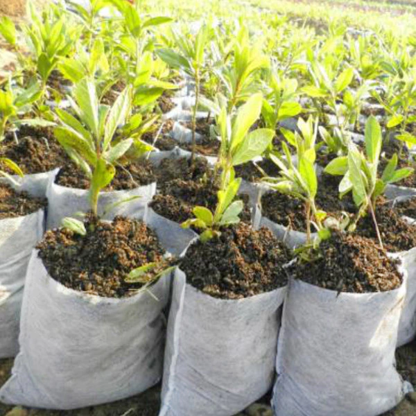 Degradable 100% pp spunbond nonwoven seedling bag