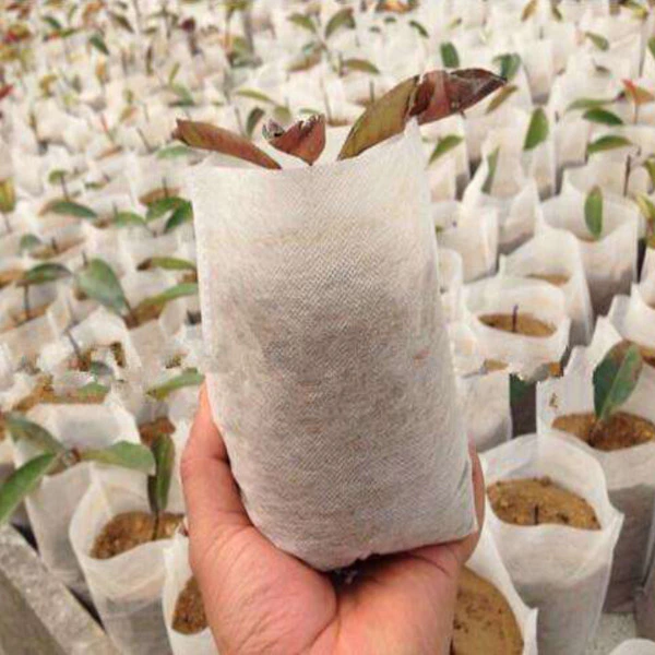 Degradable 100% pp spunbond nonwoven seedling bag