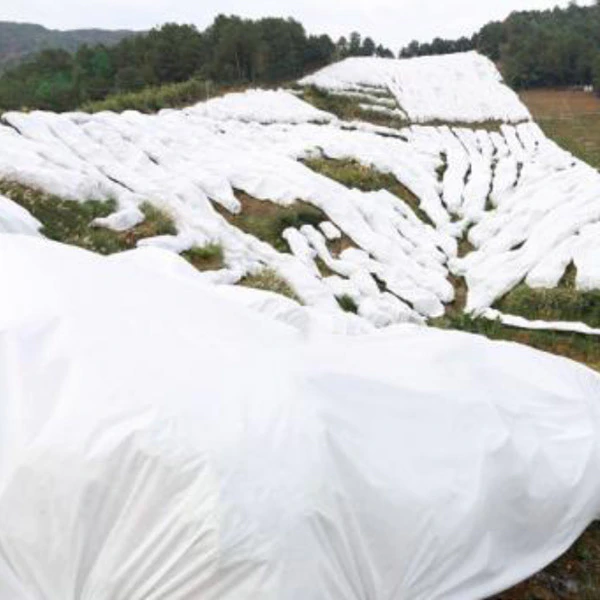 Non woven spunbond for agriculture fruit cover forest protection