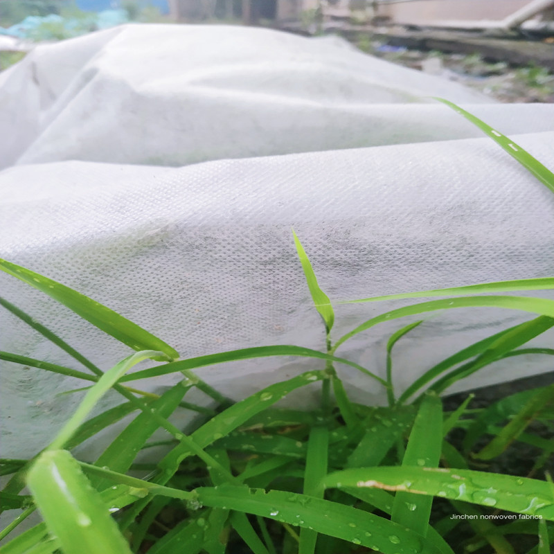 Jinchen spunbond nonwoven fabric fruit cover for garden-1
