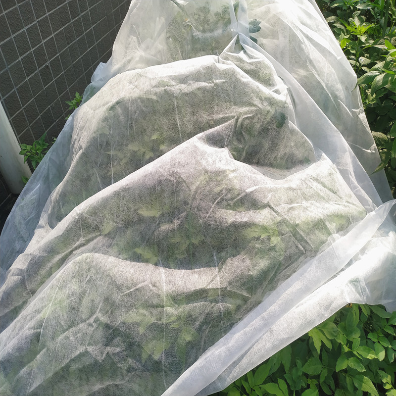 Jinchen spunbond nonwoven fabric fruit cover for garden-2