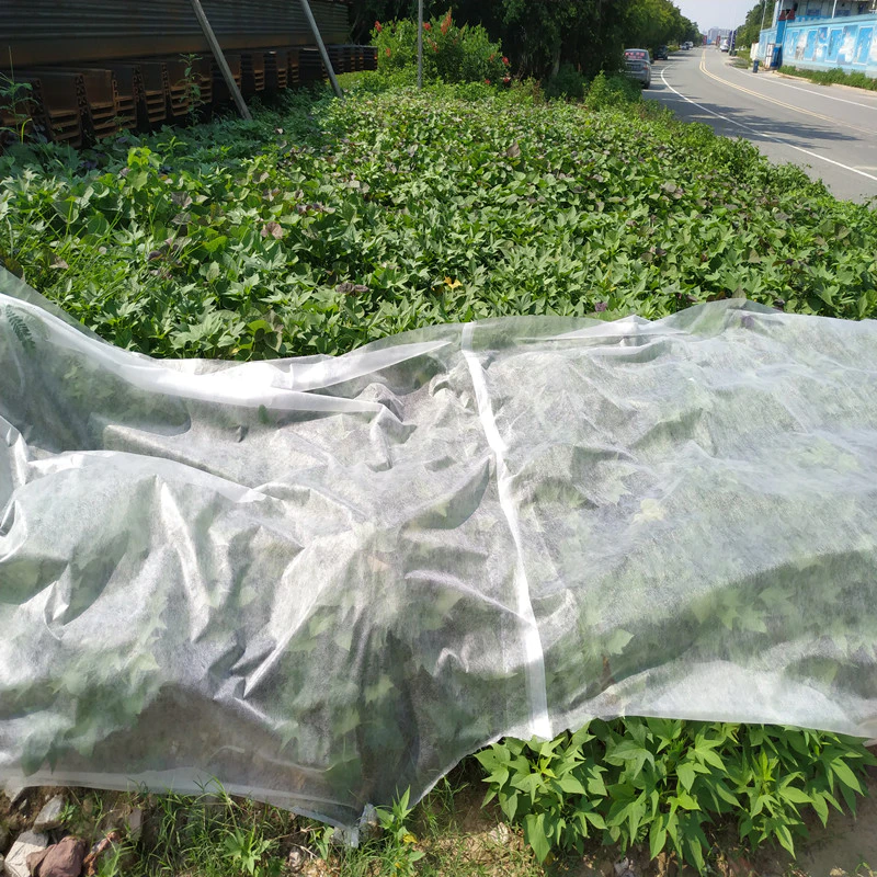 Extra Width PP Nonwoven Landcover,Lanscape