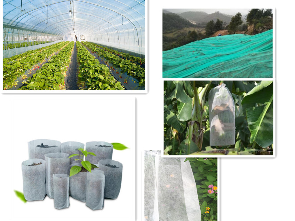 Landcover, fruit cover, greenhouse