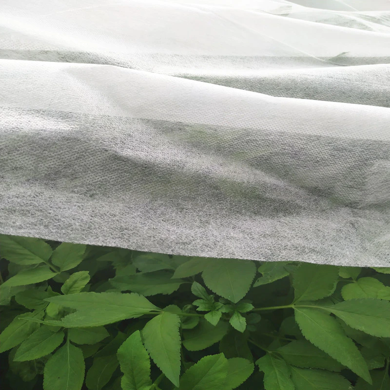 100% PP and Extra-width Nonwoven Landcover
