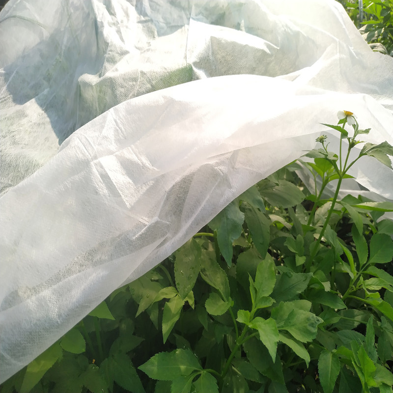 PP Spunbond Nonwoven Fabric for Agriculture Covering