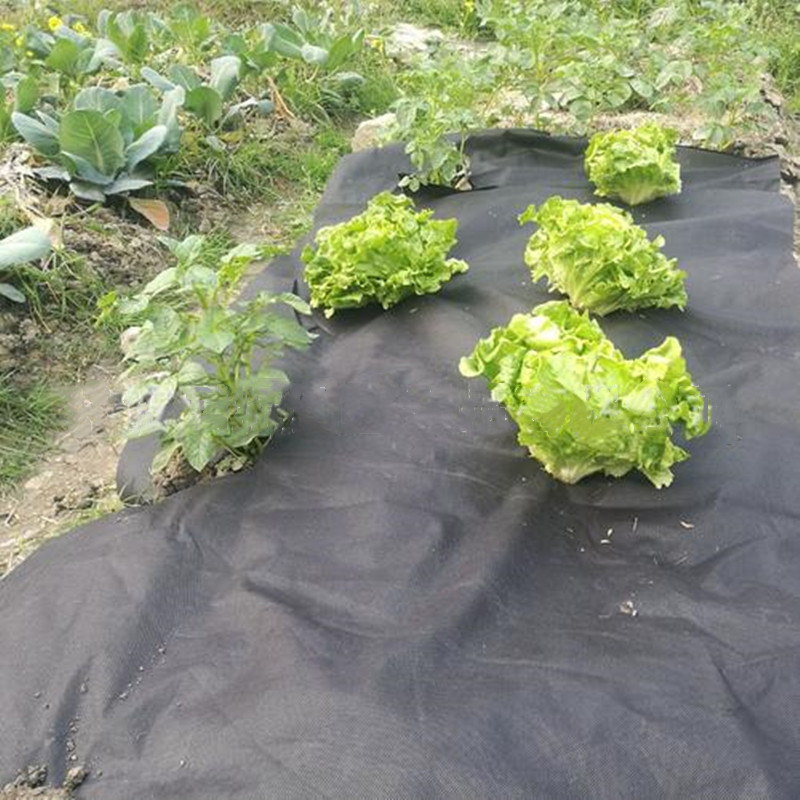 PP Spunbond Nonwoven Fabric For Agricultural Soil Mulch