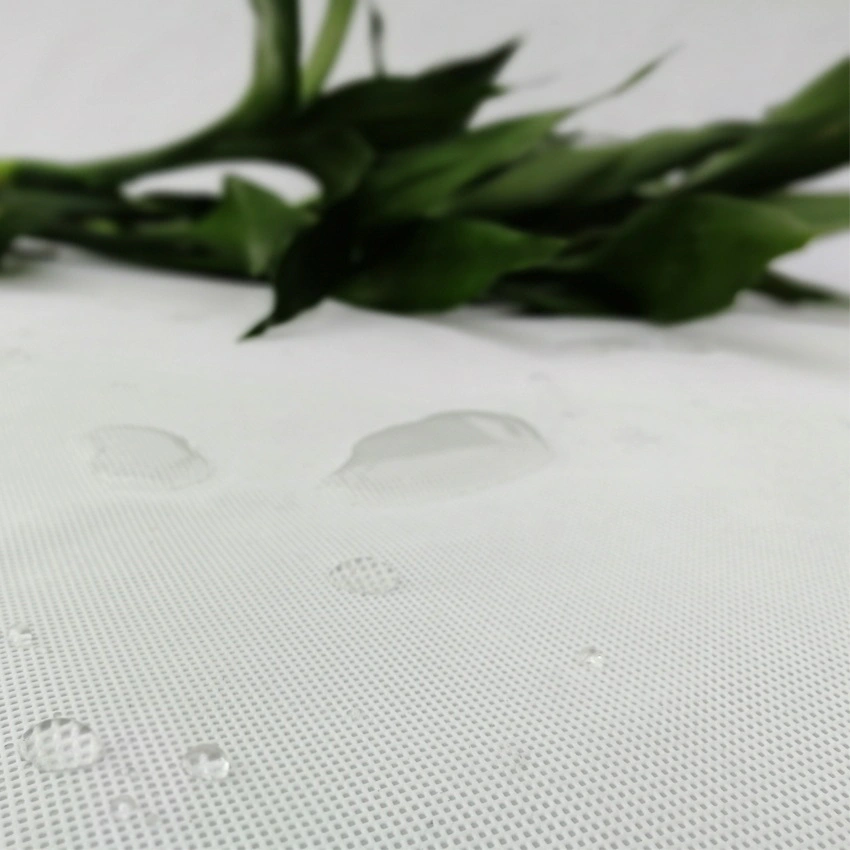 Application of PP spunbonded nonwoven fabric