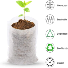 Why Nonwoven seedling bag is better?