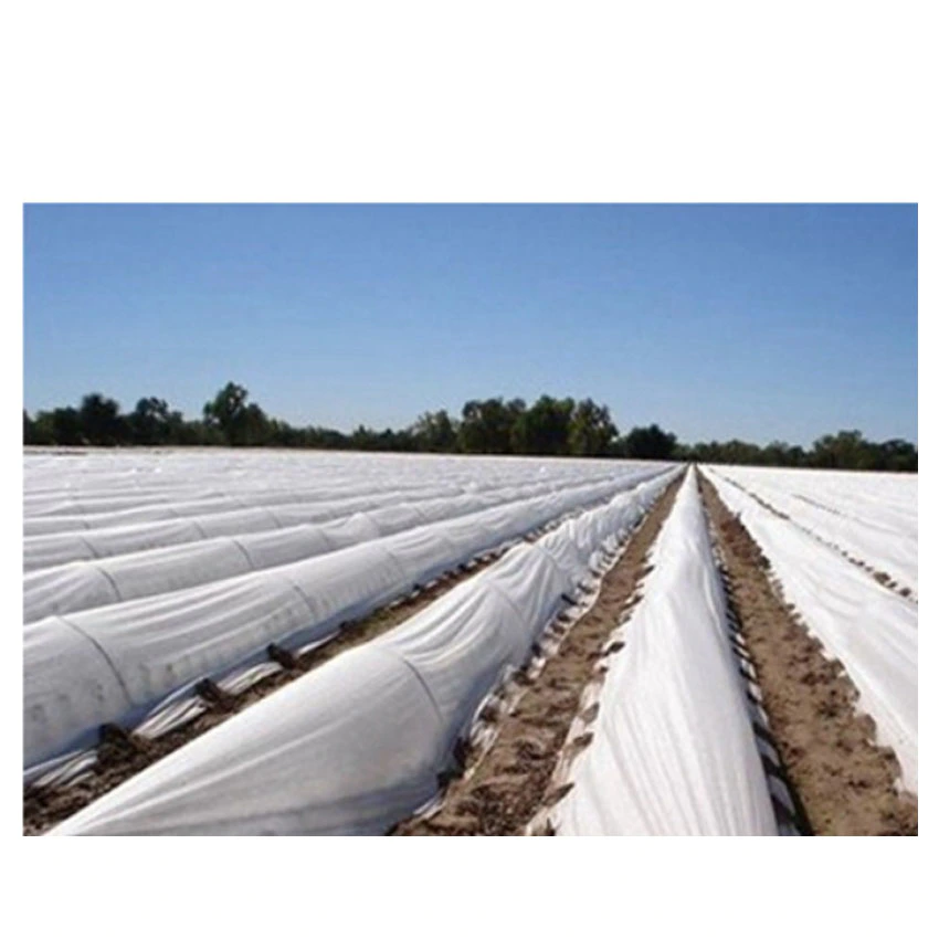 What is Frost Protection Cover?