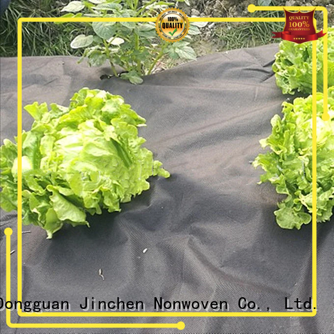high quality agricultural fabric forest protection for greenhouse