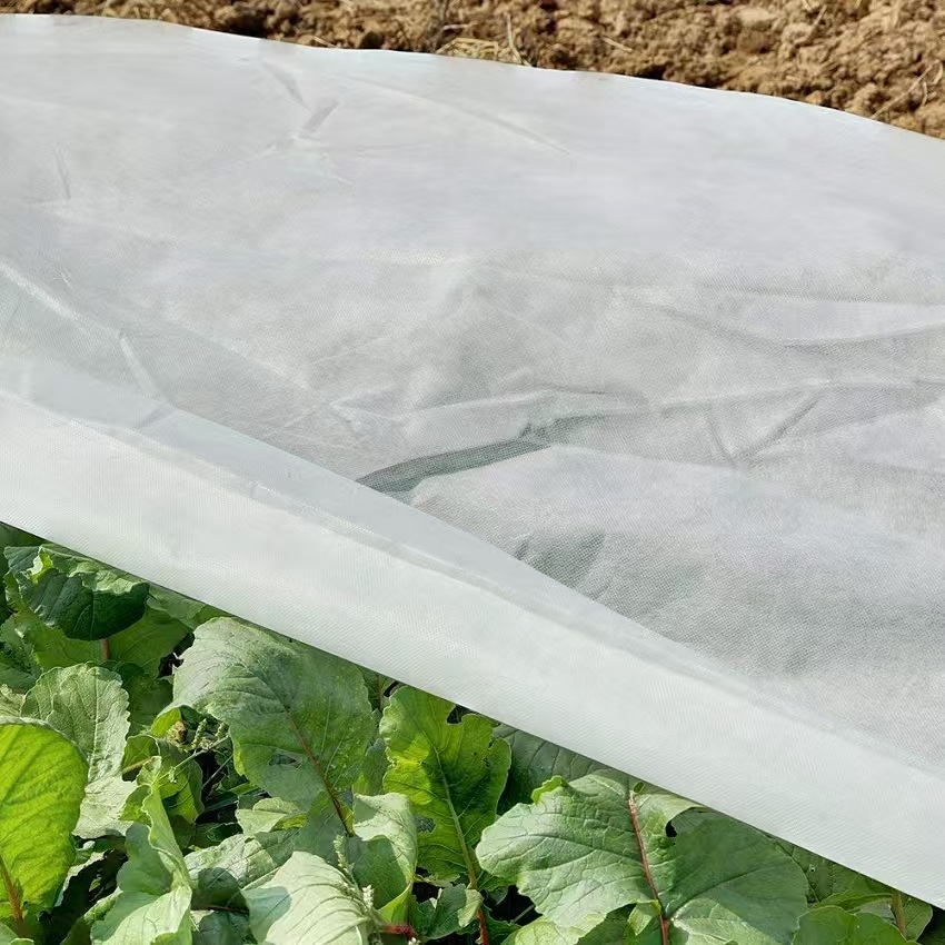 40-80 gsm pp spunbond nonwoven fabric for plant cover