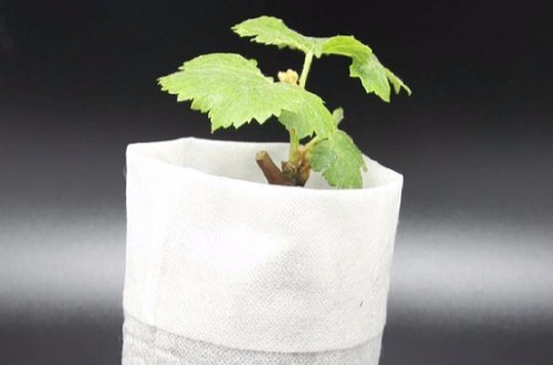 Garden non-woven fabric seedling nursery bag