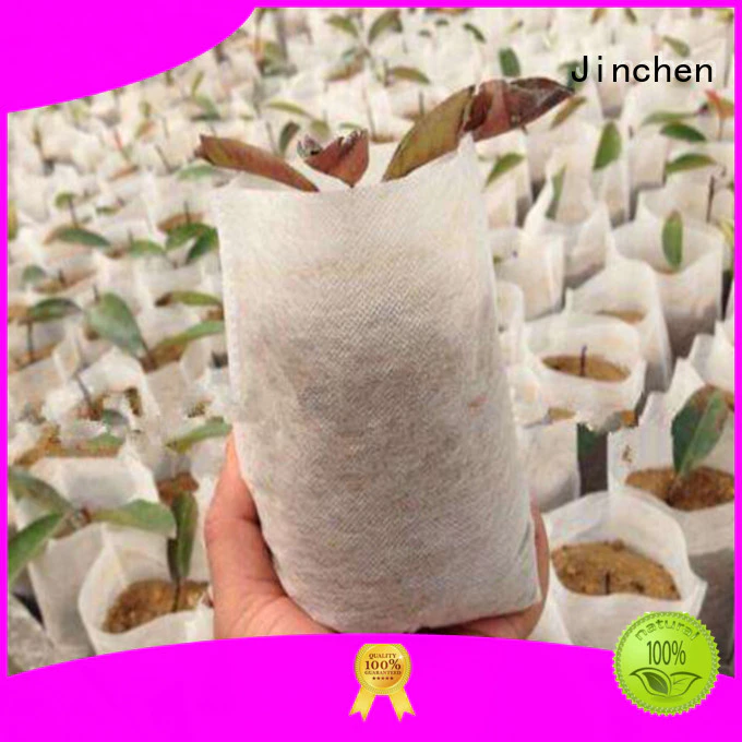 seedling non plastic bags with customized logo for supermarket