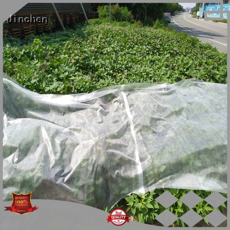 Jinchen top agricultural cloth fruit cover for garden