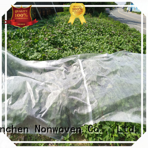 Jinchen agricultural fabric forest protection for tree