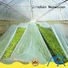 non woven cover fruit cover for greenhouse Jinchen