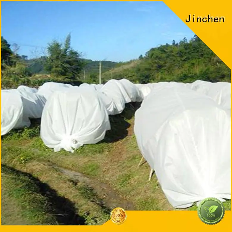Jinchen spunbond nonwoven fruit cover for greenhouse