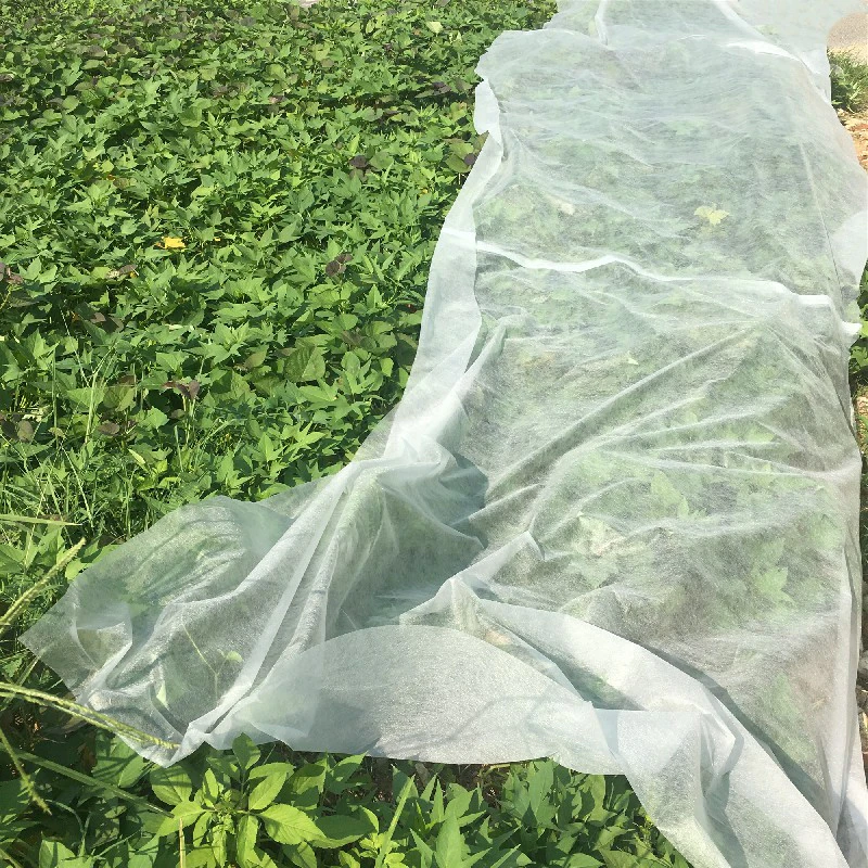 4%UV treated pp non woven agriculture covering