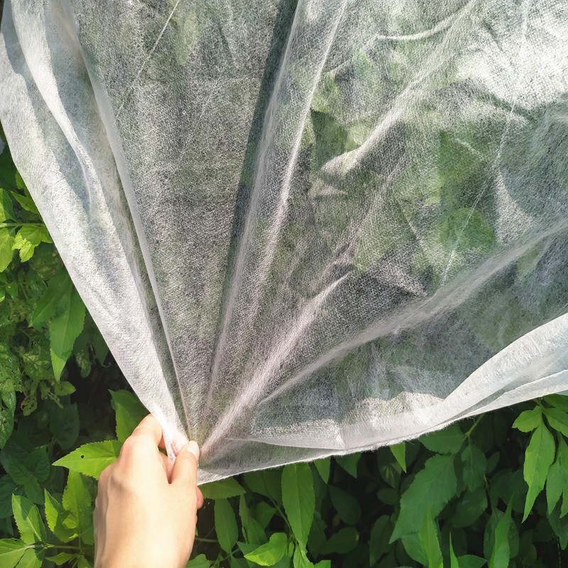 Jinchen new agricultural fabric landscape for garden-2