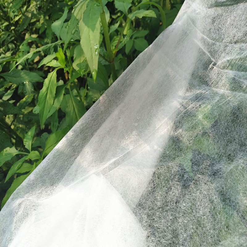 Jinchen top agricultural fabric ground treated for tree-1