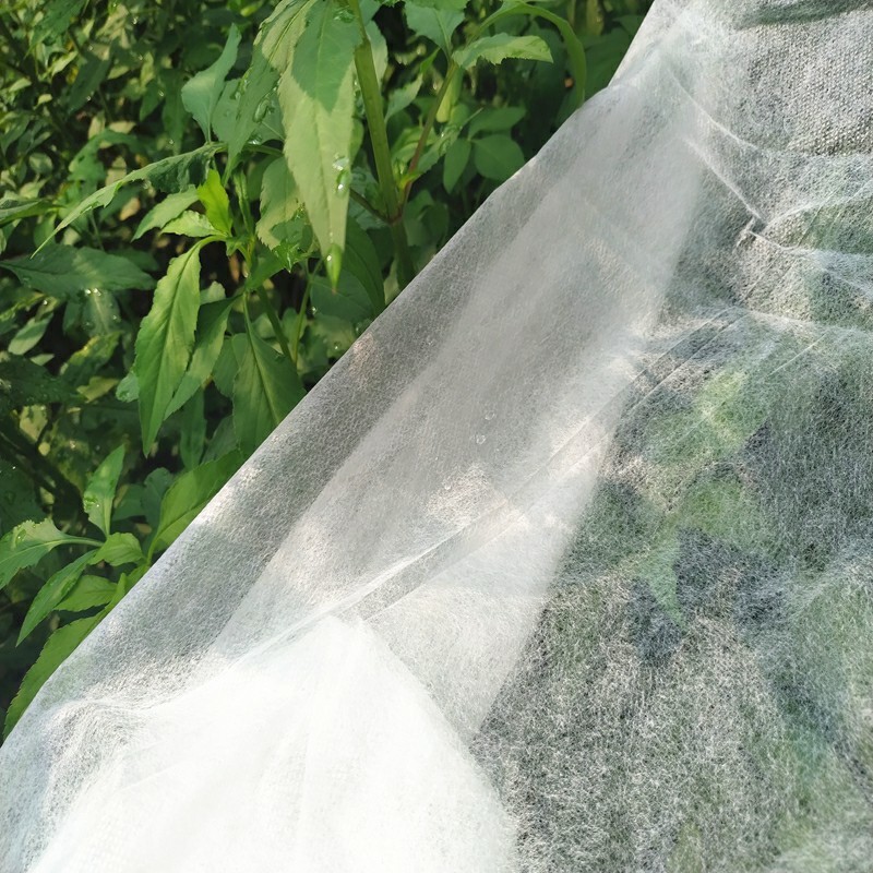 Anti-UV Agricultural PP Spunbond Nonwoven Mulch Film