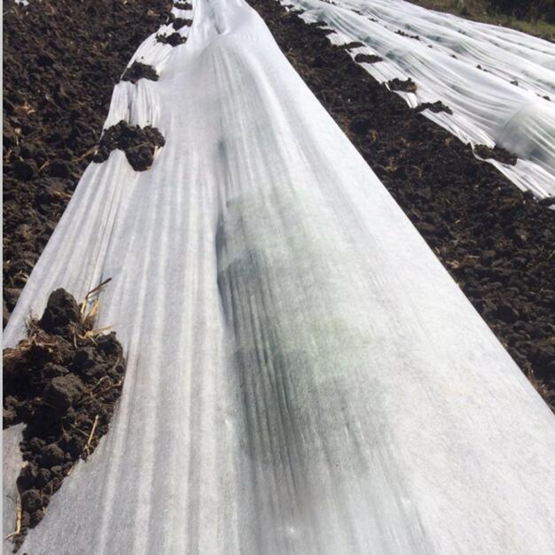 UV treated PP Nonwoven for Ground Cover