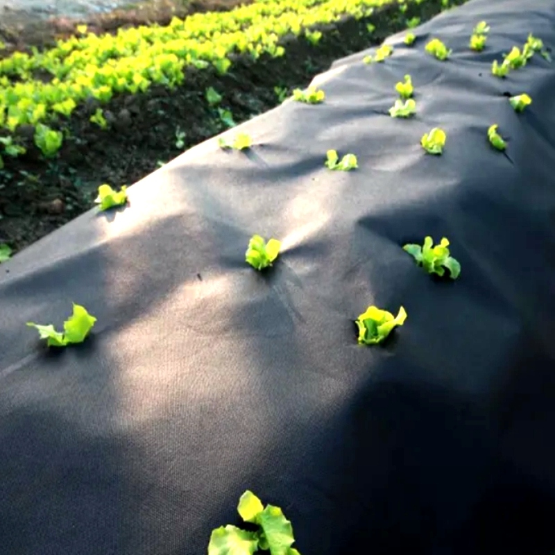 PP spunbond nonwoven for weed control ground cover with UV treated