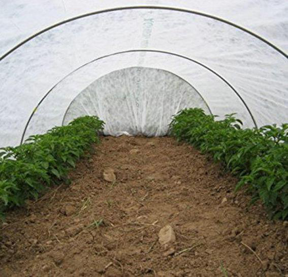 Jinchen agricultural fabric suppliers fruit cover for greenhouse-2