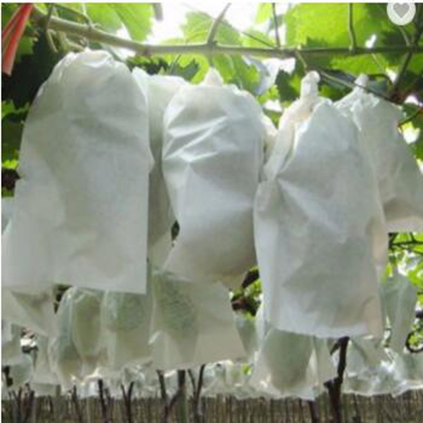 Jinchen non woven fabric bags supplier for supermarket-1