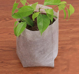 Agriculture pp non-woven fabric for plant cultivation bag