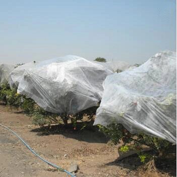 Anti-UV frost protection pp non-woven agriculture covering