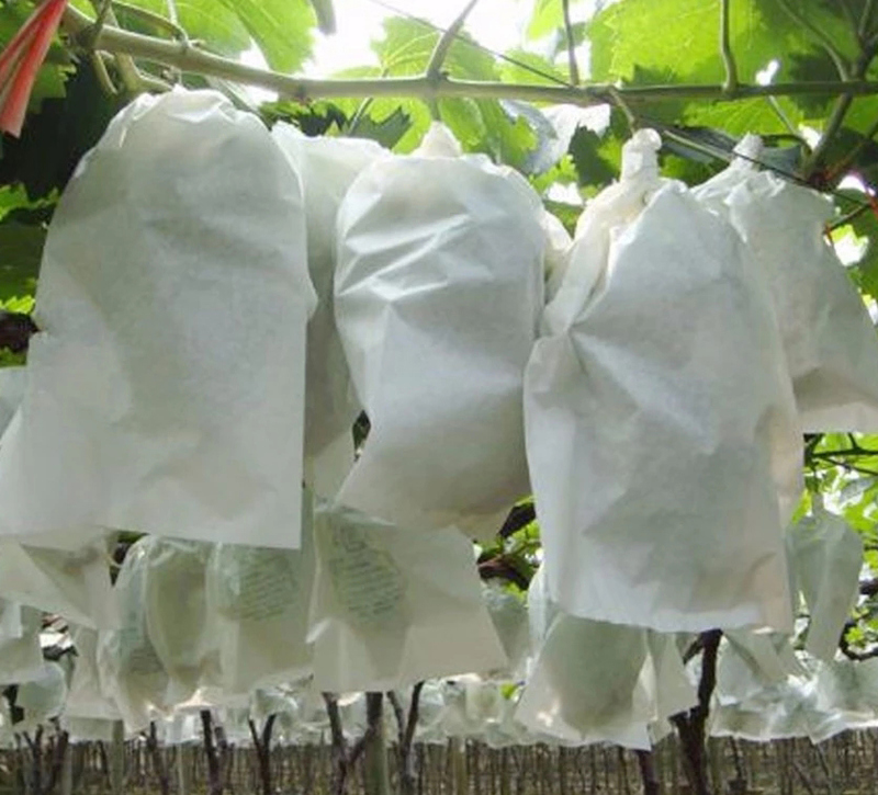 Anti-uv agriculture nonwoven fabric for covering fruit bag