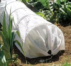 Plant cover non woven bag for fruit & tree Customized reusable agriculture film