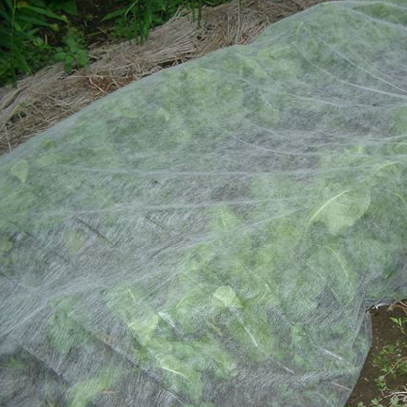 high quality agricultural fabric suppliers manufacturer for greenhouse-1