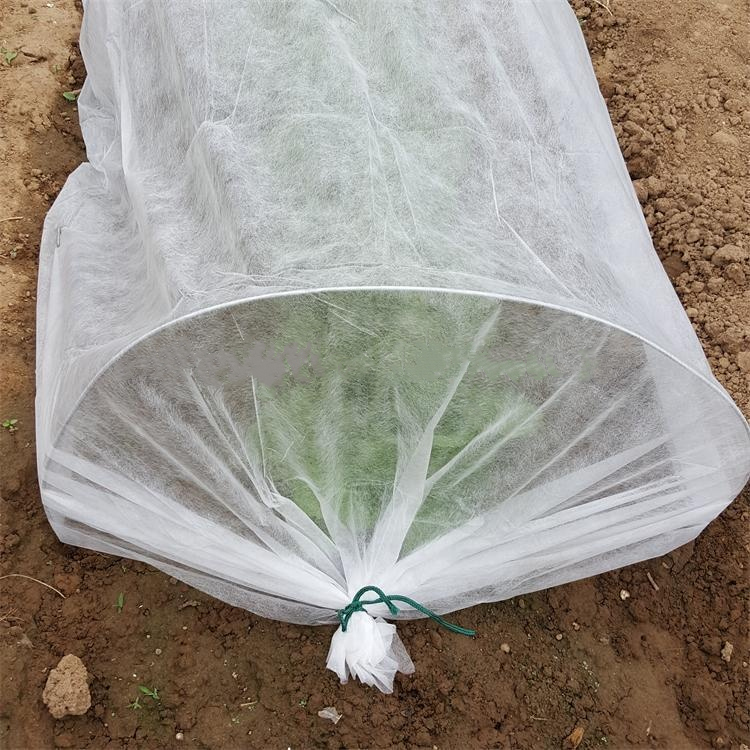 Agricultural non-woven fabric for plant covering whitch is environmentally friendly and breathable