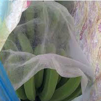 Anti-UV PP nonwoven fabric for banana cover bag