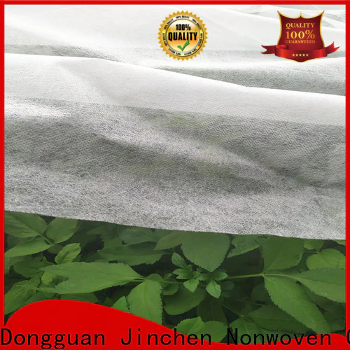 Jinchen latest agricultural fabric fruit cover for tree