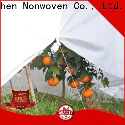 Jinchen spunbond nonwoven ground treated for tree