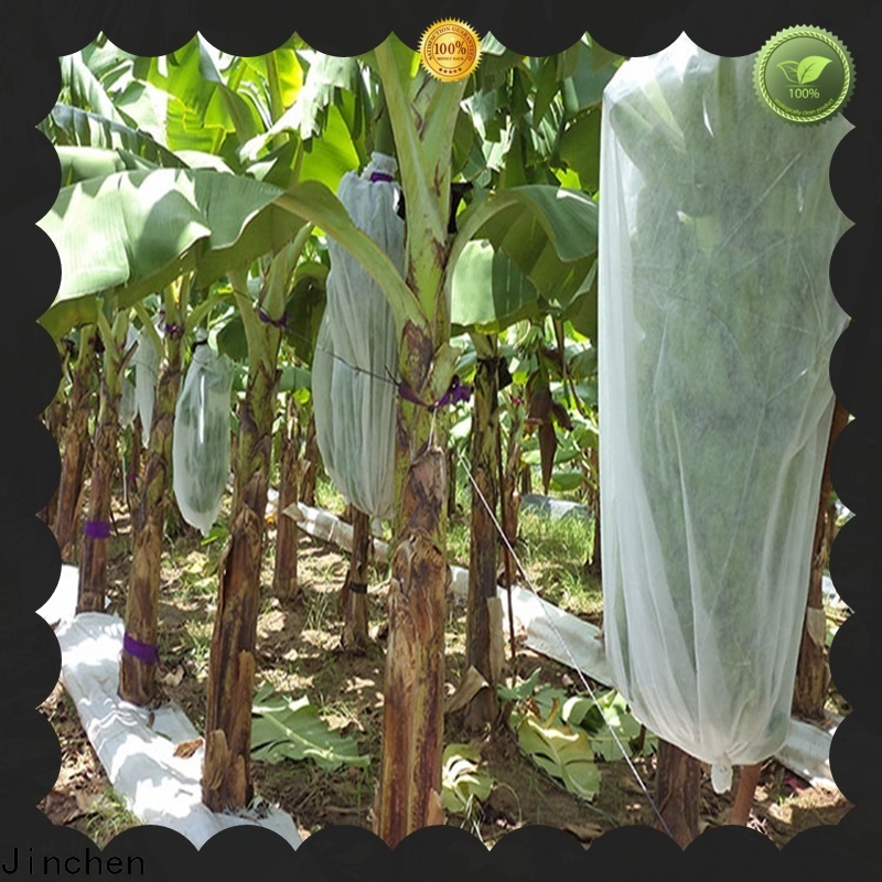 Jinchen high-quality non woven cloth fpr fruit protection