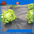 new spunbond nonwoven fabric forest protection for greenhouse