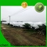 Jinchen new agricultural fabric fruit cover for garden