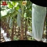 custom non woven cloth for tree