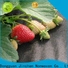Jinchen agricultural fabric forest protection for greenhouse
