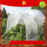 Jinchen top spunbond nonwoven fabric fruit cover for greenhouse