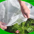 Jinchen latest agricultural cloth fruit cover for garden