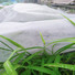 agriculture nonwoven (1).jpg